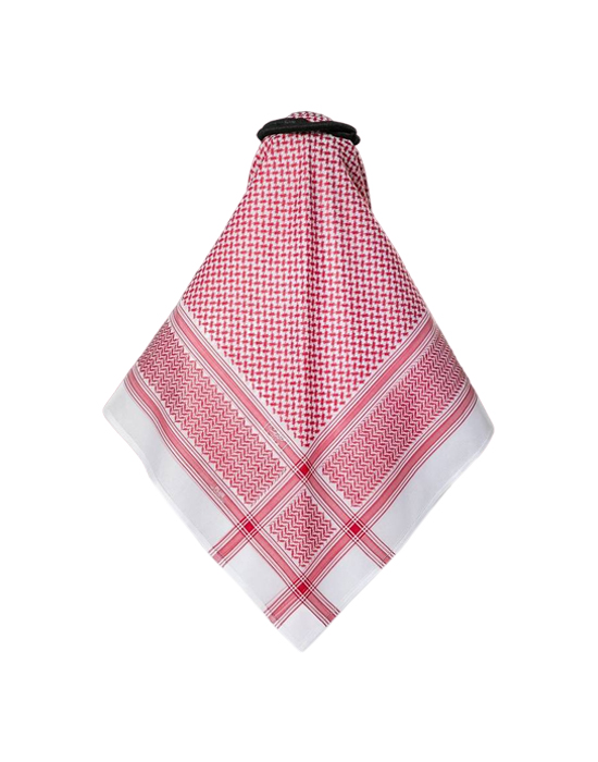 Shemagh Al Bassam Plus 21 v1