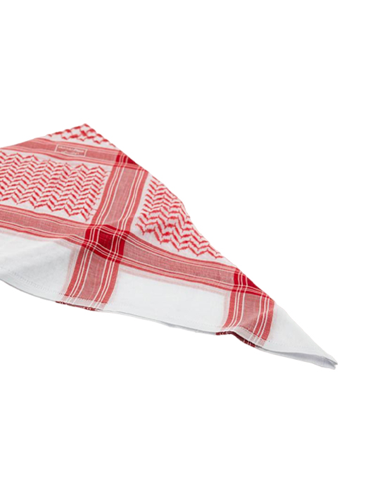 Shemagh Rene 2023 Ren Mr 4 No v1